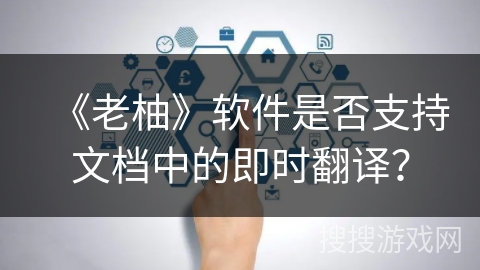 《老柚》软件是否支持文档中的即时翻译？