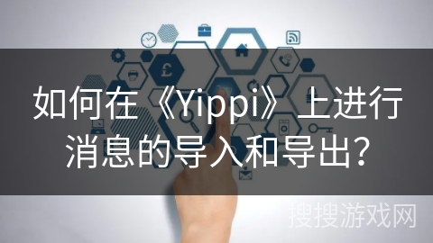 如何在《Yippi》上进行消息的导入和导出？