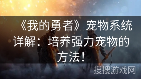 《我的勇者》宠物系统详解：培养强力宠物的方法！