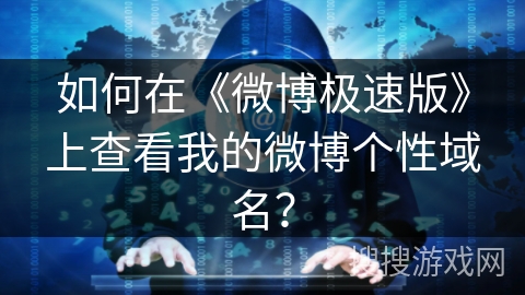 如何在《微博极速版》上查看我的微博个性域名？