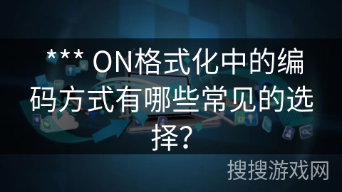  *** ON格式化中的编码方式有哪些常见的选择？