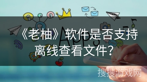 《老柚》软件是否支持离线查看文件？