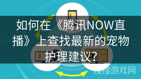 如何在《腾讯NOW直播》上查找最新的宠物护理建议？