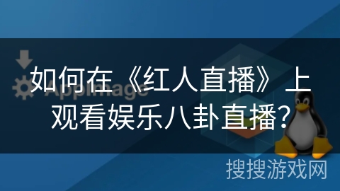 如何在《红人直播》上观看娱乐八卦直播？
