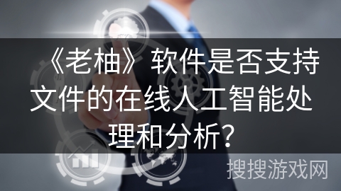 《老柚》软件是否支持文件的在线人工智能处理和分析? 《老柚》软件是否支持文件的在线人工智能处理和分析?