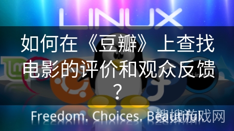 如何在《豆瓣》上查找电影的评价和观众反馈？