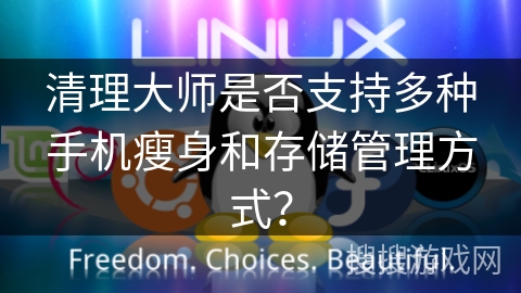 清理大师是否支持多种手机瘦身和存储管理方式？