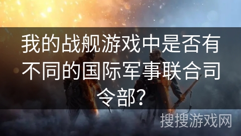我的战舰游戏中是否有不同的国际军事联合司令部？