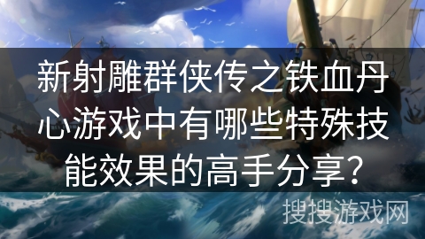 新射雕群侠传之铁血丹心游戏中有哪些特殊技能效果的高手分享？