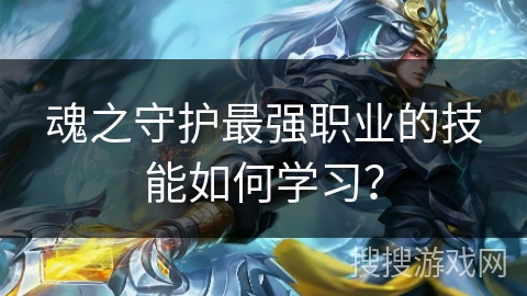 魂之守护最强职业的技能如何学习？