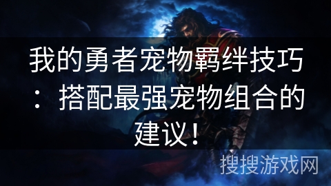 我的勇者宠物羁绊技巧：搭配最强宠物组合的建议！