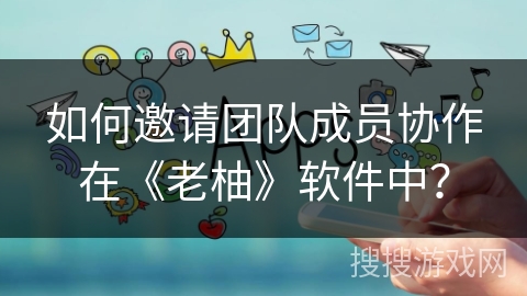 如何邀请团队成员协作在《老柚》软件中？