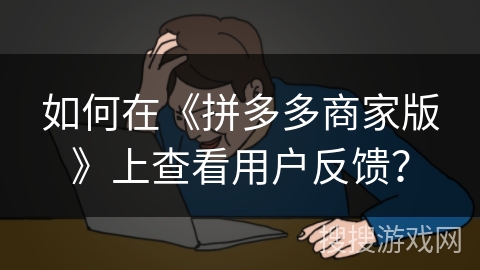 如何在《拼多多商家版》上查看用户反馈？