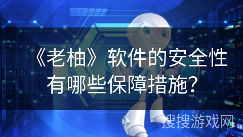 《老柚》软件的安全性有哪些保障措施？