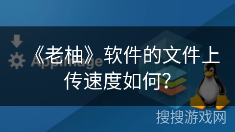 《老柚》软件的文件上传速度如何？
