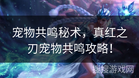 宠物共鸣秘术，真红之刃宠物共鸣攻略！
