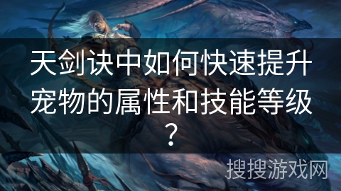 天剑诀中如何快速提升宠物的属性和技能等级？