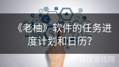 《老柚》软件的任务进度计划和日历？