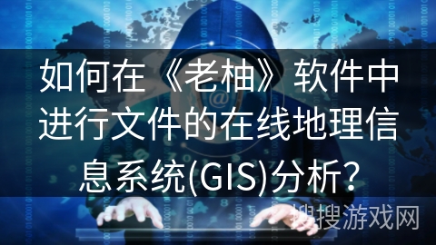 如何在《老柚》软件中进行文件的在线地理信息系统(GIS)分析？