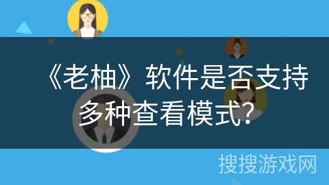 《老柚》软件是否支持多种查看模式？