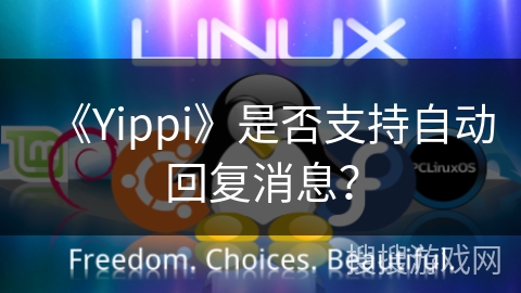 《Yippi》是否支持自动回复消息？