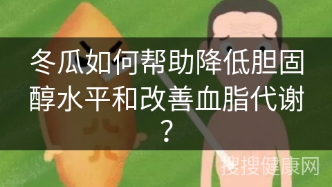 冬瓜如何帮助降低胆固醇水平和改善血脂代谢？