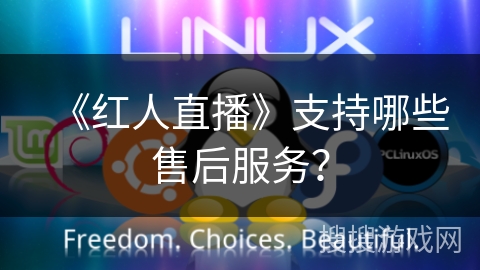 《红人直播》支持哪些售后服务？