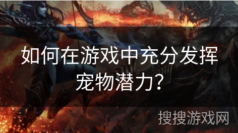 如何在游戏中充分发挥宠物潜力？