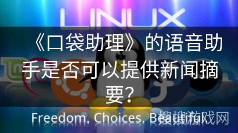《口袋助理》的语音助手是否可以提供新闻摘要？