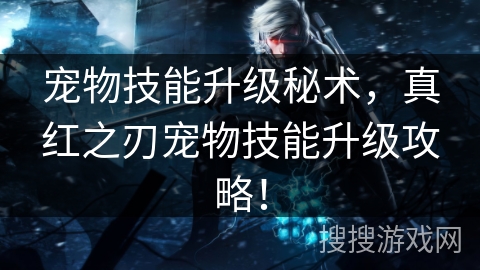 宠物技能升级秘术，真红之刃宠物技能升级攻略！