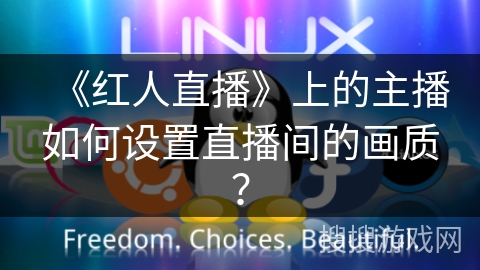 《红人直播》上的主播如何设置直播间的画质？