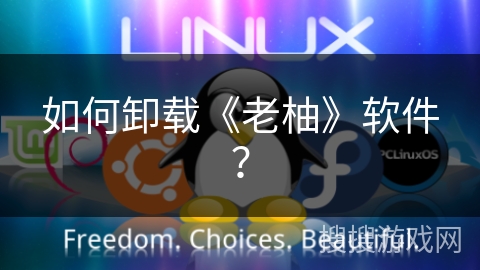 如何卸载《老柚》软件？