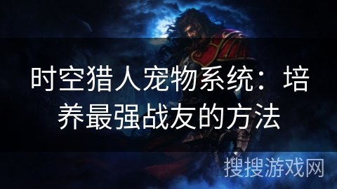 时空猎人宠物系统：培养最强战友的方法