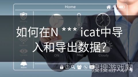 如何在N *** icat中导入和导出数据？