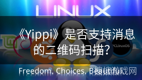 《Yippi》是否支持消息的二维码扫描？