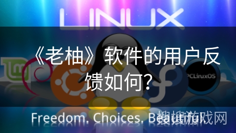 《老柚》软件的用户反馈如何？