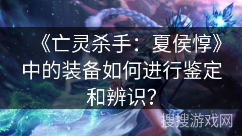 《亡灵杀手：夏侯惇》中的装备如何进行鉴定和辨识？