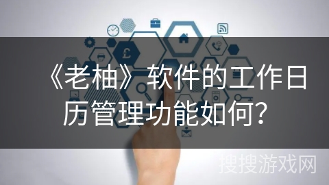 《老柚》软件的工作日历管理功能如何？