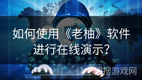 如何使用《老柚》软件进行在线演示？