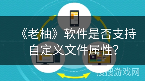 《老柚》软件是否支持自定义文件属性？
