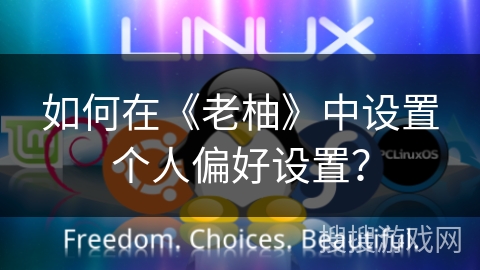 如何在《老柚》中设置个人偏好设置？