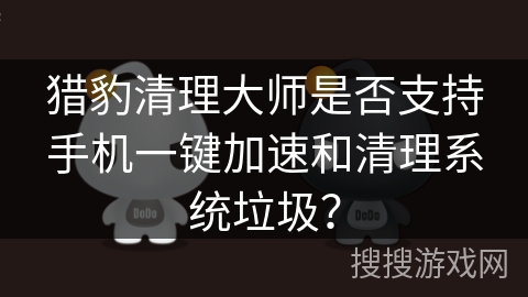 猎豹清理大师是否支持手机一键加速和清理系统垃圾？