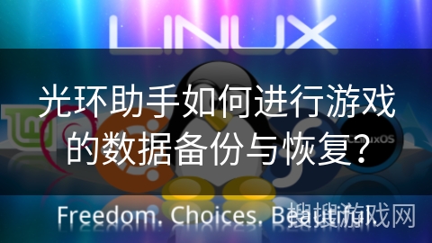 光环助手如何进行游戏的数据备份与恢复？