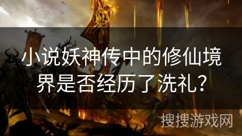 小说妖神传中的修仙境界是否经历了洗礼？