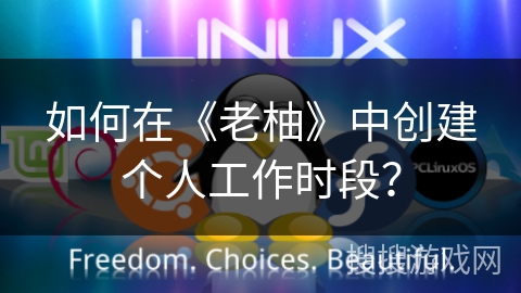 如何在《老柚》中创建个人工作时段？