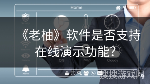 《老柚》软件是否支持在线演示功能？