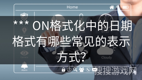  *** ON格式化中的日期格式有哪些常见的表示方式？