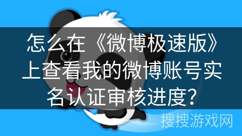 怎么在《微博极速版》上查看我的微博账号实名认证审核进度？