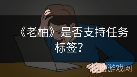 《老柚》是否支持任务标签？