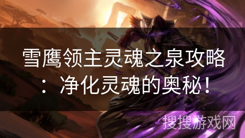 雪鹰领主灵魂之泉攻略：净化灵魂的奥秘！